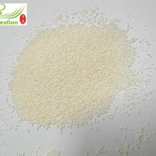 Kalopanaxseptemlobus saponin extraction resin