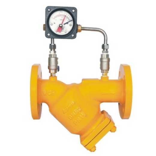 WCB Flnage Ends Fuel Gas Y Strainer with Gauge