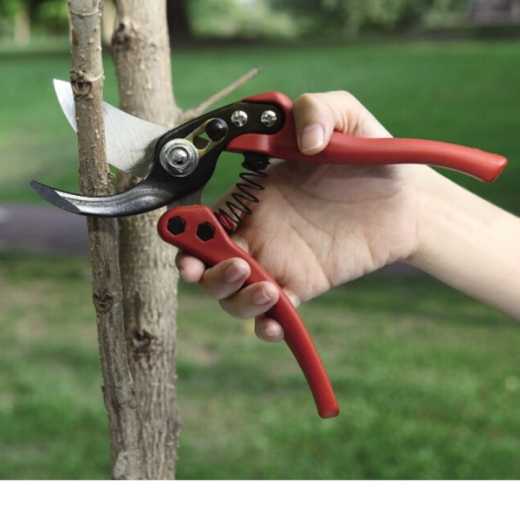 Professional Garden Hand Pruner - 3169-1