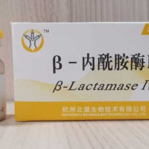 Beta-Lactamase 
