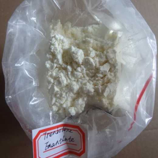 Trenbolone Enanthate Powder For Sale, wickr: xiosinmagnet