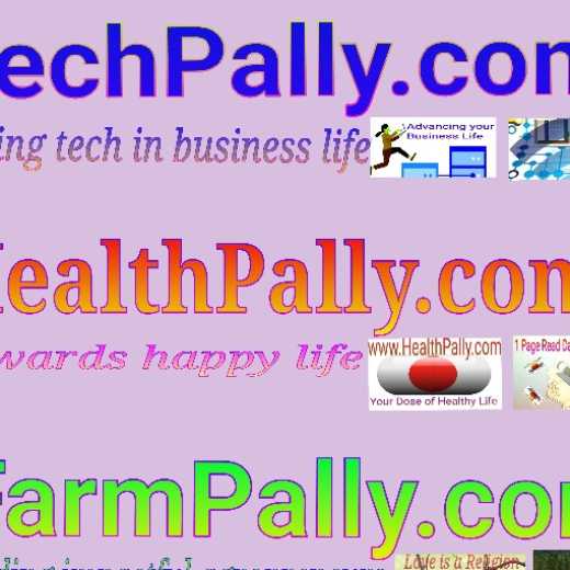 Techpally digital marketing service provider
