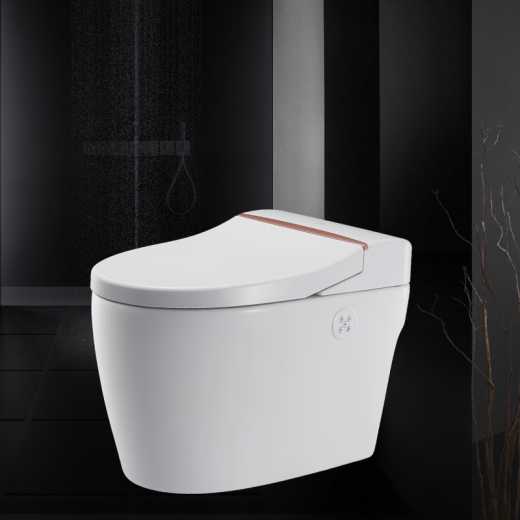 A WEIZHUO WZ12A102 energy-saving all-in-one water-tankless toilet, which is a multifunctional washing-drying and massaging automatic water-flushing toilet