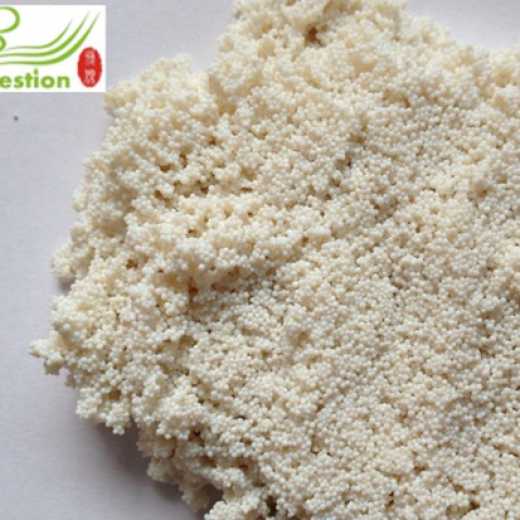 Lotus seed polyphenol extraction resin