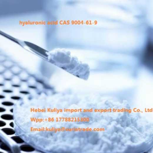hyaluronic acid CAS 9004-61-9