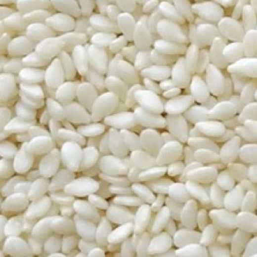 Organic Sesame Seeds