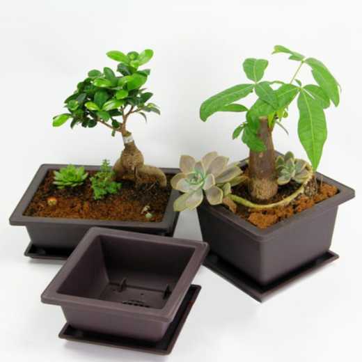 Taizhou Lijin purple sand pot rectangular porous orchid bonsai basin quartet meaty