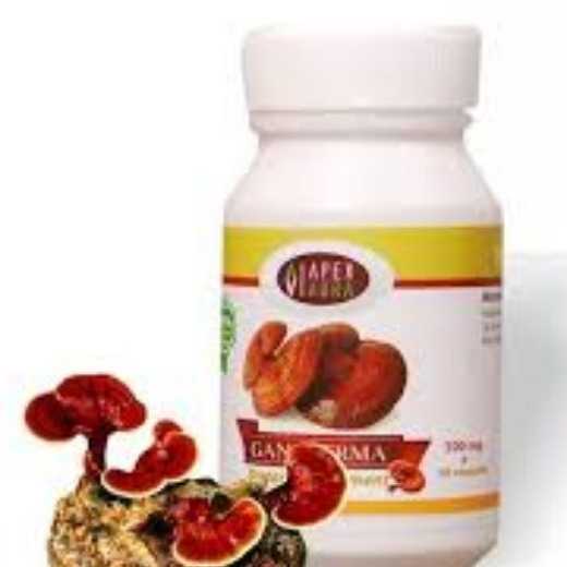 Ganoderma   food supplement  (Lingzhi mushroom)