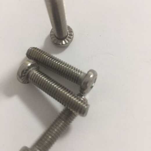 Stainless steel cross disk head with tooth screw