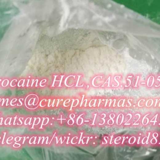 Procaine HCL china supplier,Procaine,CAS:51-05-8,guarantee delivery