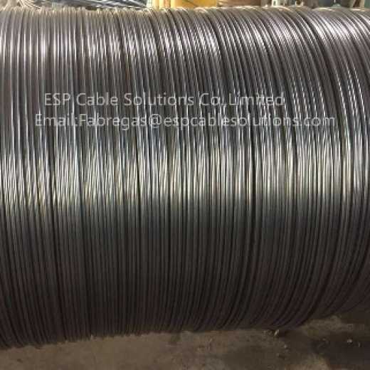 Control line coiled tubing