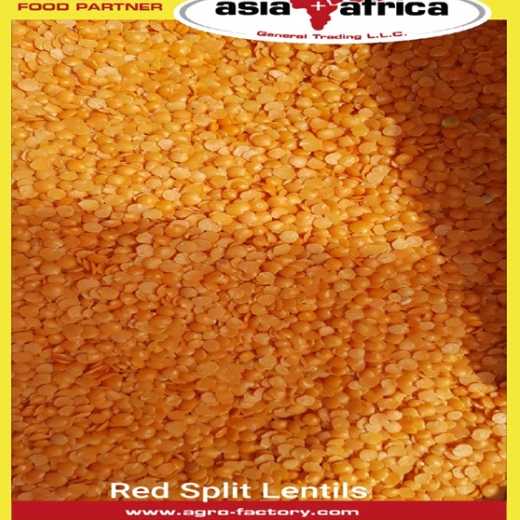 RED Split Lentil 