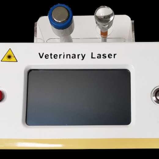  Veterinary Laser Therapy Equipment
