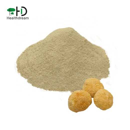 100% Pure natural Hericium Erinaceus powder Monkey Head Mushroom Powder 