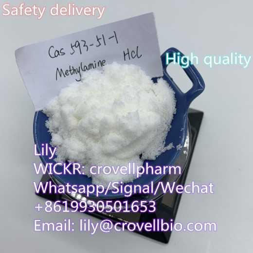 Methylamine hcl CAS 593-51-1 (lily WICKR crovellpharm
