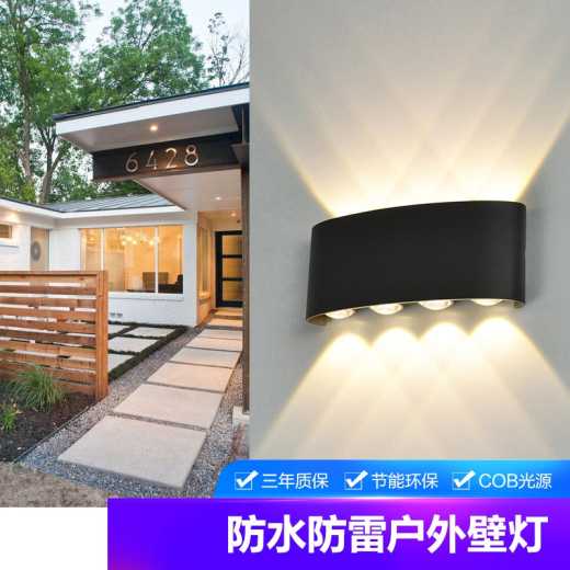 Painted lighting LED outdoor energy-saving wall lamp