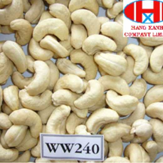 Fresh cashew kernels (WW240)