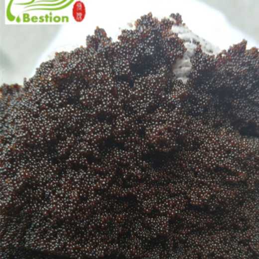 Adsorbent resin for extraction and purification of biological flavonoids 