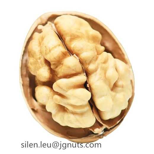 Chinese Top grade cheap price thin shell inshell walnut 185