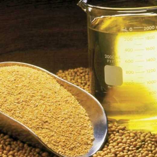 SOYBEAN OIL