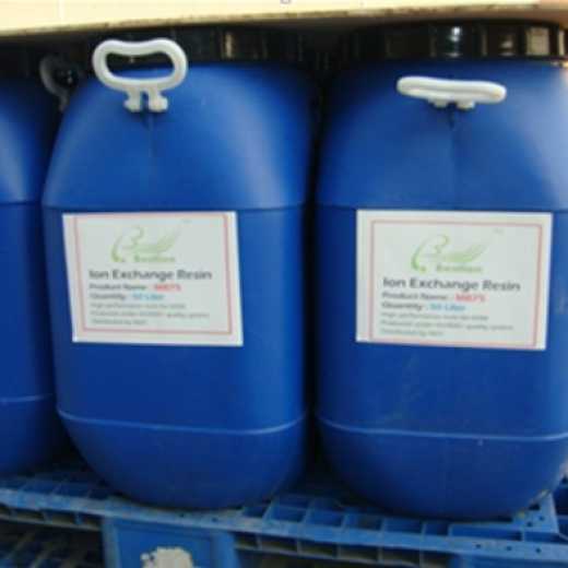 Macroporous resin purification of total flavonoids