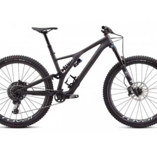 2020 Specialized Stumpjumper Evo Pro 29