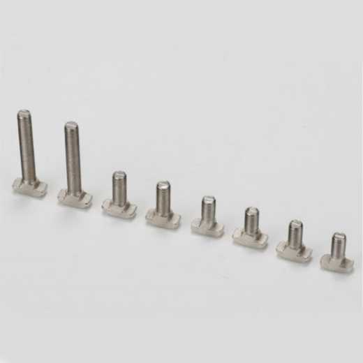 European standard T-bolts series -45