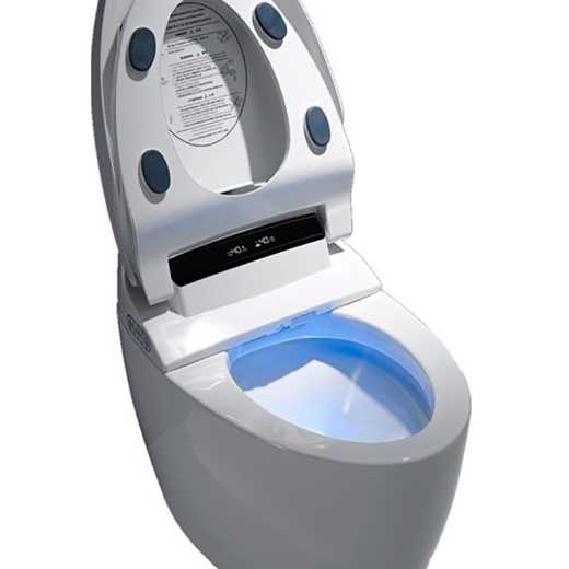 Fani shield intelligent toilet integrated remote control foot sense flush water cistern multi-function namely hot toilet