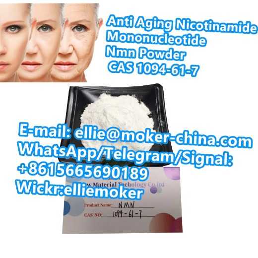 Anti-Aging 99% Nicotinamide Mononucleotide Nmn Powder CAS 1094-61-7
