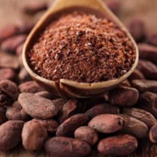 cocoa beans and cocoa powder 