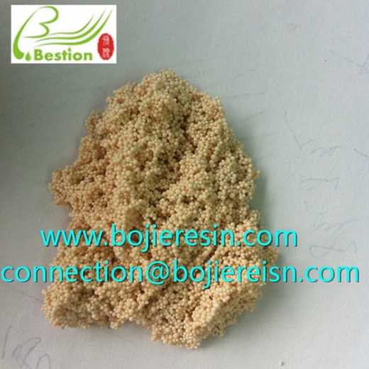 Acanthopanax saponins extraction resin