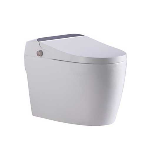 Fani shield intelligent toilet integrated remote control automatic flushing water cistern function is the hot toilet