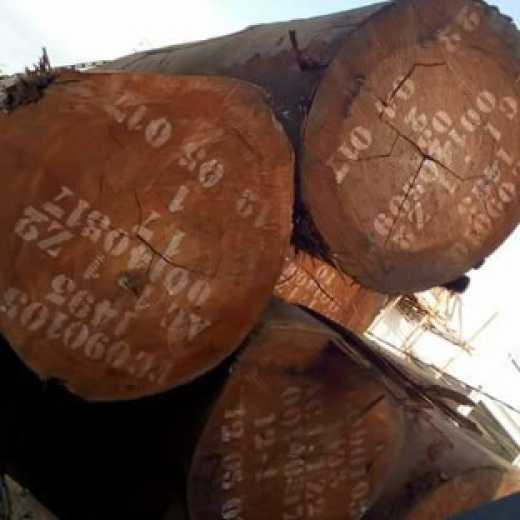 African Hard Wood Timber Logs & Lumber For Sale , West Africa Timber Logs , Cheap Hardwood Logs For Sale 