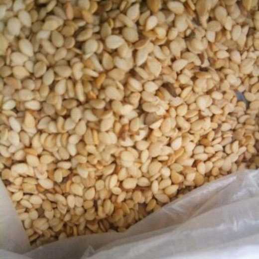 Nigeria White Sesame Seeds 