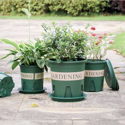 Taizhou Lijin root flowerpot not rot root rose clemency thickened gallon pot simple plastic flowerpot