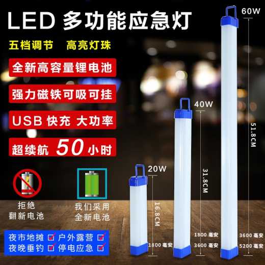 Picture lighting LED multi-function emergency light
