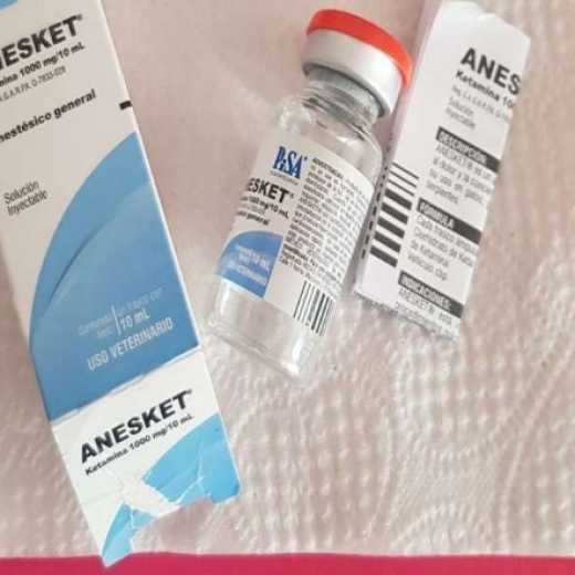 ANESKET FOR SALE ( https://nyceket.com/product/anesket-for-sale/  )