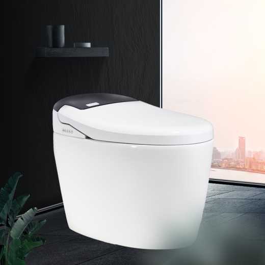 A WEIZHUO WZ11A103 energy-saving all-in-one water-tankless toilet, which is a multifunctional washing-drying and massaging automatic water-flushing toilet