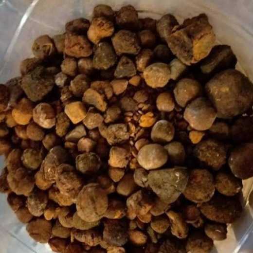 Cow/Ox/Cattle Gallstones for sell