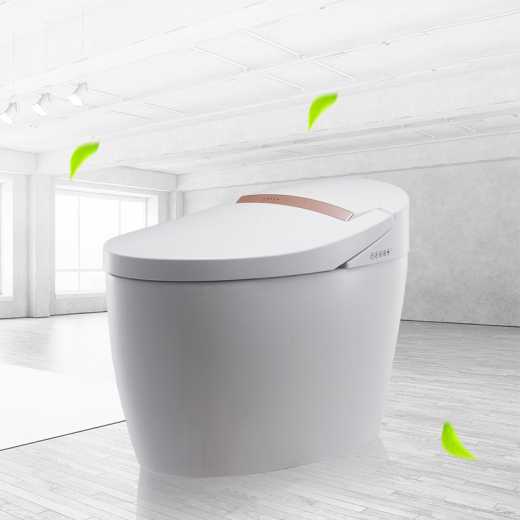 A WEIZHUO WZ11A101 energy-saving integrated cistless toilet, which is a multifunctional washing-drying and massaging automatic water-flushing toilet