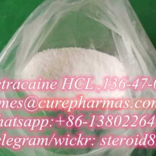 high quality Tetracaine Hcl supplier,Tetracaine,CAS.136-47-0,guarantee customs pass