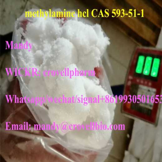 Methylamine HCL CAS 593-51-1 (mandy WICKR crovellpharm