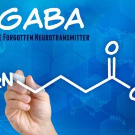 GABA (gamma aminobutyric acid)