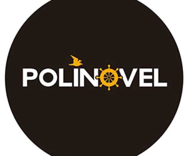 Shenzhen Polinovel Technology Co., Ltd