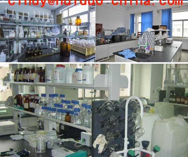 Hebei Huiduo Chemical Material Co.,LTD