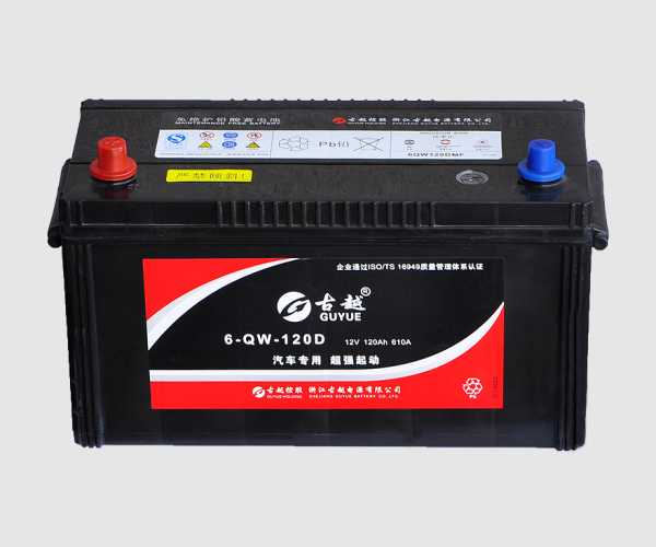 Zhejiang Guyue Battery Co., Ltd.