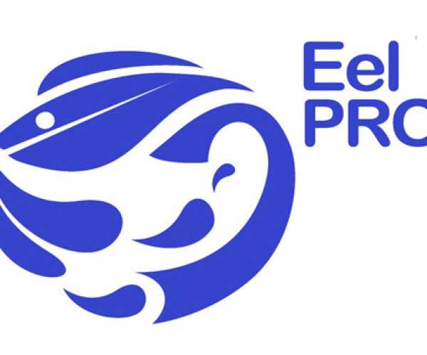 EEL PRO CO,LTD