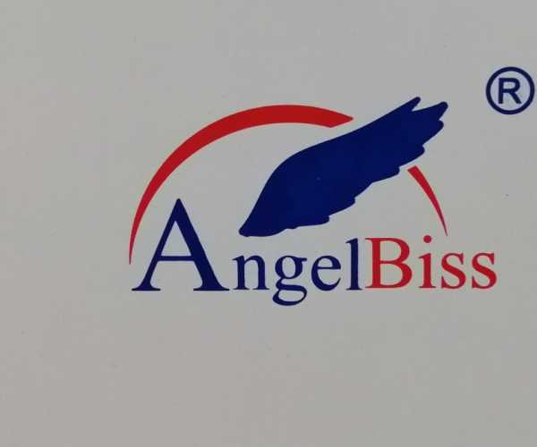 AngelBiss Medical Technology Co., Ltd