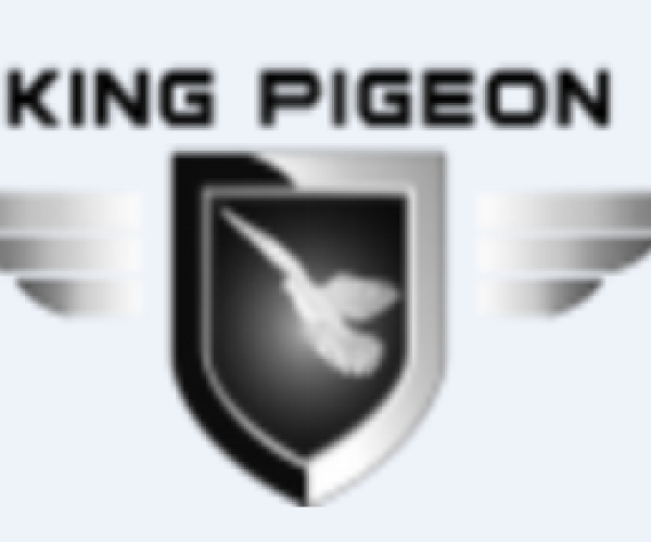 King Pigeon IoT Solution Co.,Ltd